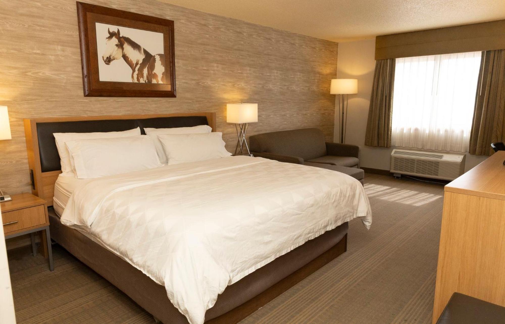 Holiday Inn Spearfish-Convention Center By Ihg Eksteriør billede